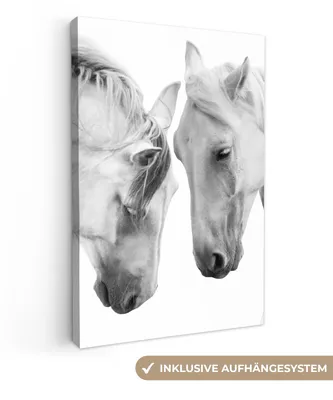Produktbild von MuchoWow® - Leinwandbilder - Pferd - Tiere - Porträt - Weiß, Wandbild, Wanddeko Bilder Wohnzimmer, 40x60cm