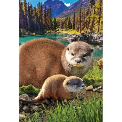 Produktbild von EUROGRAPHICS Puzzle Rettet unseren Planeten: Otter XL 250 Stück