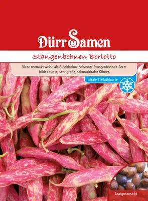 Produktbild von Dürr-Samen - Stangenbohnen Borlotto-Typ - Saatgut - 0321