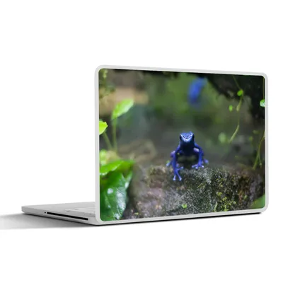 Produktbild von MuchoWow® Laptop Aufkleber Sticker Cover Blauer Frosch im Dschungel 31x22.5 cm - Laptop-Deko