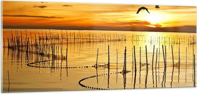Produktbild von Bilder auf glas - See Vogel Wasser - 100x40cm - Glasbilder - Wandbilder - Kunstdruck - zum Aufhängen bereit - Wanddekoration aus Glas - Glas Bilder - Wandbild auf Glas - Einteilig - GAB100x40-3616
