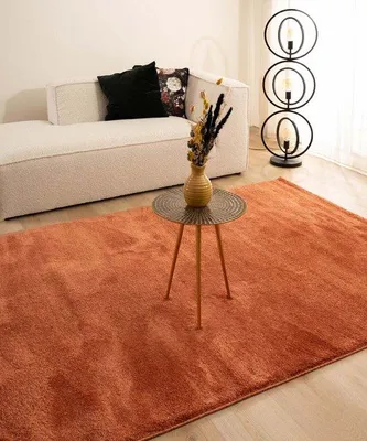 Produktbild von Unyqoos® Velours-Teppich Flair – Terracotta, 200×300 cm, Polypropylen Soft-Touch-Garne, 20 mm Flor, 2600 g/m²