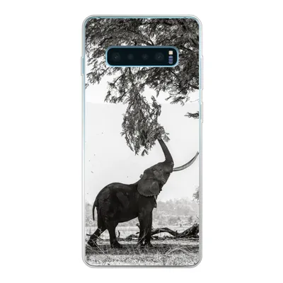 Produktbild von MuchoWow® Handyhülle Schutzhülle Hülle für Samsung Galaxy S10 Plus Elefant - Baum - Tiere - Schwarz und weiß Silikon Softcase Handy Hülle - Schutzhülle