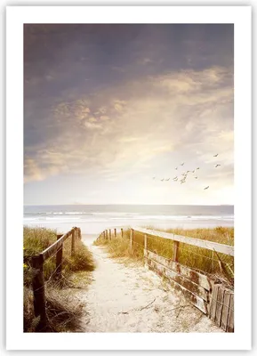 Produktbild von Poster - Poster ohne Rahmen - Meer Weg Strand - 50x70 cm - Wand Bild - Wanddeko - Wandbilder - Kunstposter - Wandposter - Bilder - Kunstdruck - Wanddekoration - Wandbild - P2XPA50x70-5190