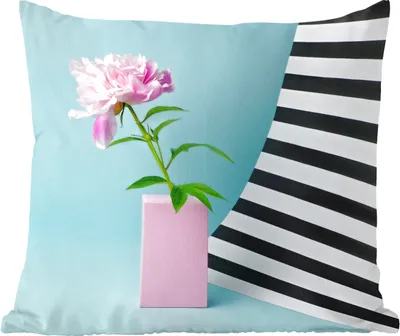 Produktbild von MuchoWow® Zierkissen Sofakissen Wohnzimmer Dekokissen 45x45 cm Rosa Pfingstrose mit blauem Hintergrund - Schlafpolster - Polster für das Sofa