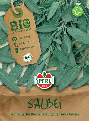 Produktbild von SPERLI  Salbeisamen Salvia officinalis 35 Pflanzen