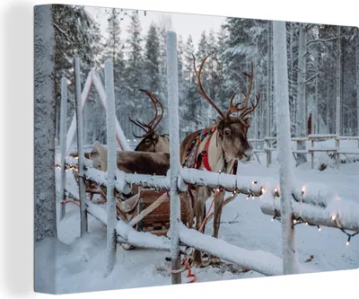 Produktbild von MuchoWow® - Leinwandbilder - Ein Rentier im Dorf des Weihnachtsmanns in Finnland, Wandbild, Wanddeko Bilder Wohnzimmer, 90x60 cm