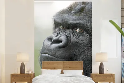 Produktbild von MuchoWow® Fototapete für Wohnzimmer oder Schlafzimmer Wandtapete Vinyl Motivtapete Ein erstaunlicher Gorilla - 155x240 cm - Tapete