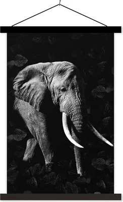 Produktbild von MuchoWow® Textilposter Botanischer Elefant auf dunklem Hintergrund - schwarz und weiß 40x60 cm mit schwarzem Rahmen - Wanddekorationen