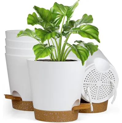Produktbild von Blumentopf selbstbewässernd 6er Set 12,7 cm Ø Weiß mit braunem Untersetzer Kunststoff