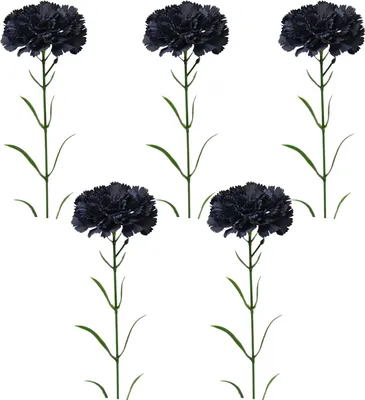 Produktbild von 5 Stück Künstliche Nelken, realistische Kunstseidenblume, Hochzeit, Innenbereich, Zuhause, Büro, Tischdekoration, Kunstblumen-Dekoration, Muttertagsgeschenk