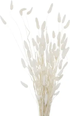 Immagine prodotto di Vimini secco decorativo, 70 cm
