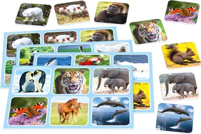 Produktbild von Schmidt Spiele Zoo Lotto, Brettspiel, Krieg, 3 Jahr(e), Familienspiel