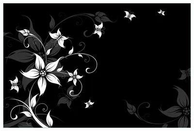 Produktbild von Wallario Küchenrückwand aus Glas, Größe: 90 x 60 cm, Motiv: Blumenranke in Schwarz-Weiß | Spritzschutz | abwischbar | pflegeleicht | in