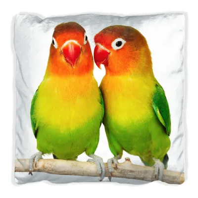 Produktbild von Wallario Premium Kissen, weiche Oberfläche, mit Motiv Papageien auf dem dünnen Ast, Größe: 60 x 60 cm, mit weißer Rückseite