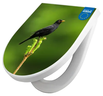 Produktbild von WC Sitz mit Absenkautomatik D Form Motiv Vogel auf Tannenzweig [TDW3 12974]