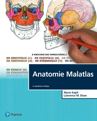Image de Anatomie Malatlas