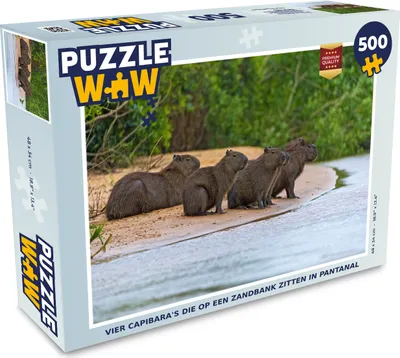 Obrázek produktu pro MuchoWow MuchoWow® Puzzle 500 ks Čtyři kapybary sedící na písčině v Pantanalu