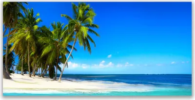 Produktbild von Acrylglasbilder 120x60 Wandbild Druck Palmen Strand Meer Landschaft