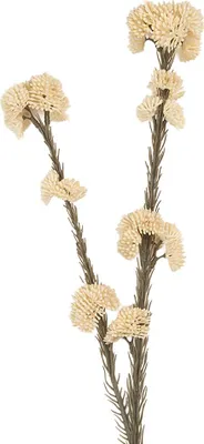 Image de Clayre & Eef Fleur artificielle 6x6x58 cm Blanc Plastique
