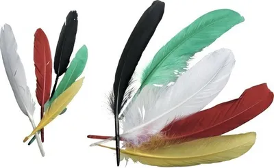 Produktbild von Indianerfedern bunt sortiert 16 cm ca. 15 Stück