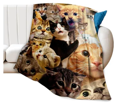 Produktbild von Leichte Kuscheldecke, süße Katzen, flauschige Überwurfdecke für Couch, Sofa, Zelten L