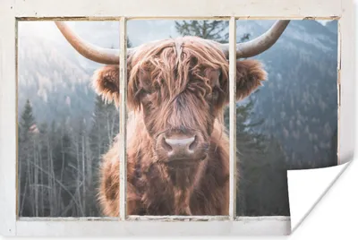 Produktbild von MuchoWow® Poster Highlander - Berg - Aussicht 30x20 cm - Plakate - Print