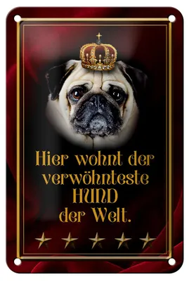 Produktbild von Blechschild Spruch 12x18cm hier wohnt Hund der Welt