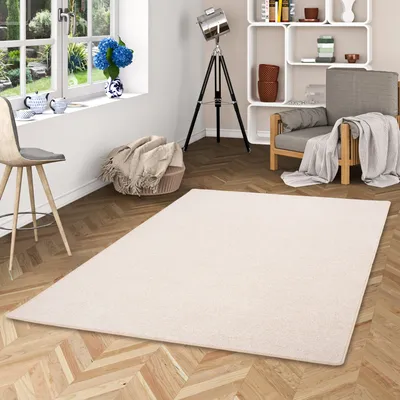 Produktbild von Hochflor Velours Teppich Triumph Champagner, Größe:160x200 cm
