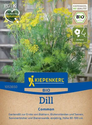 Produktbild von Kiepenkerl Dillsamen Einjähriger Anethum graveolens 900 Pflanzen