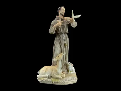 Productafbeelding van Heilige Franciscus van Assisi – kleurrijk – Gedetailleerd uitgevoerde decoratieve figuur, 12 cm × 8 cm × 21 cm, modelnummer WU76058AA