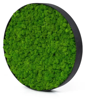 Produktbild von Rundes Moosbild Iceland Design (⌀40 cm, schwarz)