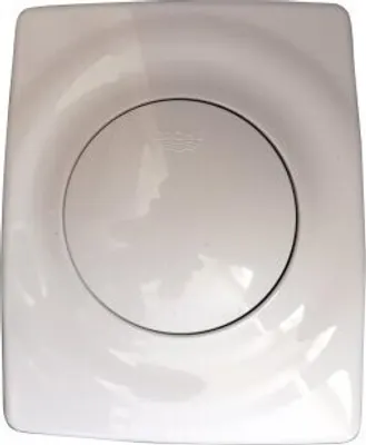 A close-up, top-down view of a white urinal flush plate.