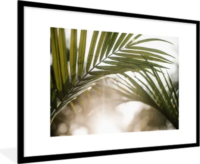 Produktbild von MuchoWow® Gerahmtes Poster Palme - Palmenblatt - Sonne - Sommer 90x60 cm - Poster mit Schwarzem Bilderrahmen Wandposter Rahmen Foto Bilder - Wanddekoration - Fotos