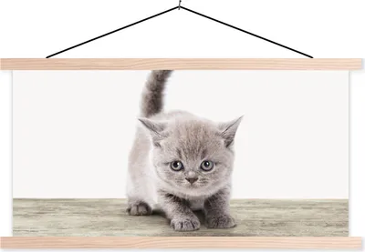 Produktbild von MuchoWow® Textilposter Kätzchen - Katze - Haustiere - Jungen - Kinder - Mädchen 60x30 cm mit holzfarbenen Rahmen - Dekoration