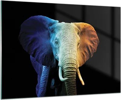 Produktbild von Bilder auf glas - Einteilig - Bunt Elefant Fotografie - 100x70cm - Glasbilder - Wandbilder - Bilder - zum Aufhängen bereit - Wanddekoration aus Glas - Glas Bilder - Wandbild auf Glas - GAA100x70-4768