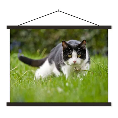 Produktbild von MuchoWow® Textilposter Katze - Gras - Schwarz - Weiß - Mädchen - Kinder - Jungen - Kinder 60x45 cm mit schwarzem Rahmen - Poster Schlafzimmer