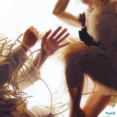 Image de Animaux