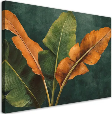 Produktbild von Leinwandbild Tropische Bananenblätter 60x40 Feeby Grün bild für die wand bereit zum aufhängen