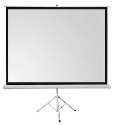 Produktbild von celexon basic Stativ-Leinwand 120" | 220x220 cm 1:1 | mobile transportable 4K, Full-HD Leinwand | Beamerleinwand mit Stativ für Heimkino- und Büropräsentationen | Blitzschneller Aufbau in 3 Schritten
