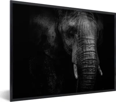 Produktbild von MuchoWow® MuchoWow® Gerahmtes Poster Elefant - Tier - Porträt 40x30 cm - Poster mit zchwarzem Bilderrahmen - Kunstposter - Wanddekorationen
