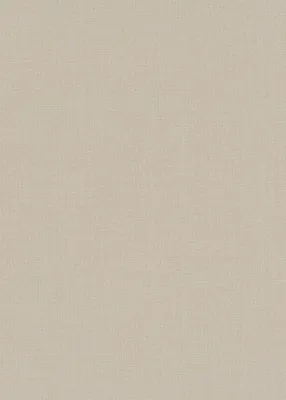 Produktbild von Erismann Vliestapete Uni beige 10,05 x 0,53 m