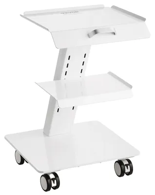 Image de Chariot de laboratoire VEVOR, chariot de laboratoire à 3 couches avec roulettes, chariot métallique mobile avec roulettes pivotantes, chariot de service Chariot clinique avec plateau et capacité de charge de 100 kg, pour laboratoire, clinique, salon de beauté