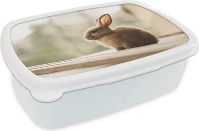 Produktbild von KitchenYeah® Lunchbox Brotzeit Brotdose 17x11 cm Kaninchen - Baby - Tier Kinder Brotzeitdose - Lunch Box - Kinder - Sandwich-Box - Schulbox - Lunch Boxen