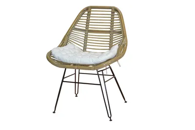 Produktbild von Rattanstuhl mit Kissen Kim