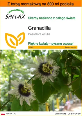 Zdjęcie produktu dla SAFLAX - Garden in the bag - Granadilla - 40 Nasiona - Z podłożem uprawowym w praktycznej, samorozkładającej się torbie - Passiflora edulis