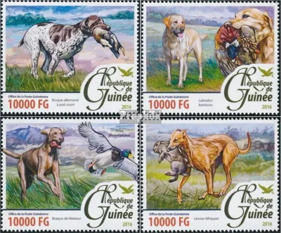 Produktbild von Briefmarken Guinea 2016 Mi 11676-11679 (kompl. Ausgabe) postfrisch Hunde