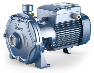Image de Turbo 2Tm 4A - Pompe centrifuge électrique monophasée à double turbine Pedrollo