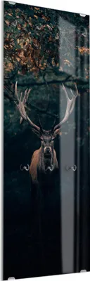 Produktbild von DEQORI Kleiderhaken aus Glas 50x125 cm 'Elch im Teutoburger Wald' Wand Garderobe Haken