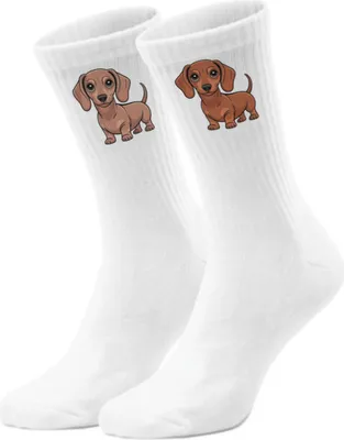 Produktbild von epicsocks Dackelliebe Braune Dackel Socken in 37-41 im Paar